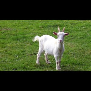 Meet your Posher, Nate